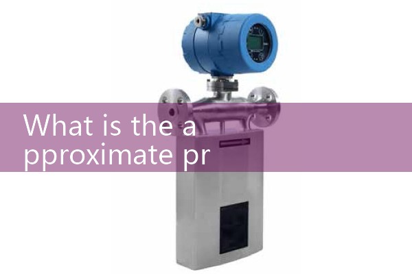 Hebei turbine flowmeter